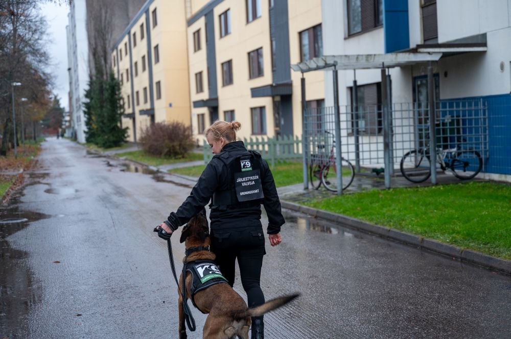 Erikoiskoirapalvelun turvallisuuskoira ja turvallisuusalan ammattilainen taloyhtiön piha-alueella